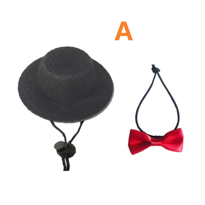 Mũ/ Nơ/ Dây xích trang trí cho bò sát thú cưng