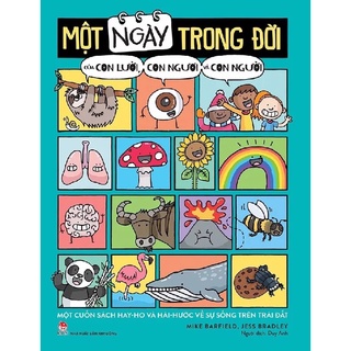 Sách - Một ngày trong đời của con lười, con ngươi và con người