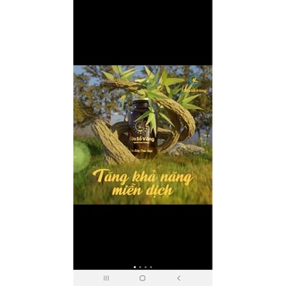 Tinh dầu Thảo dược Cửa Sổ Vàng (20ml)