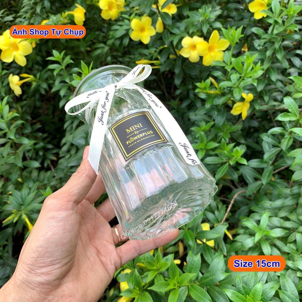 Lọ Hoa, bình hoa thủy tinh Plus Múi Khế Cổ Thắt Nơ, lọ hoa để bàn, lọ hoa trang trí