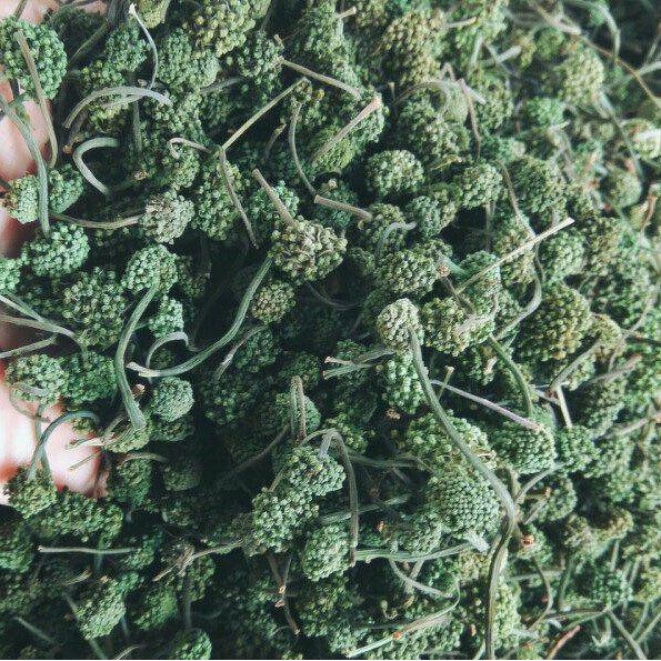 200gr NỤ TAM THẤT BAO TỬ KHÔ - hỗ trợ mất ngủ