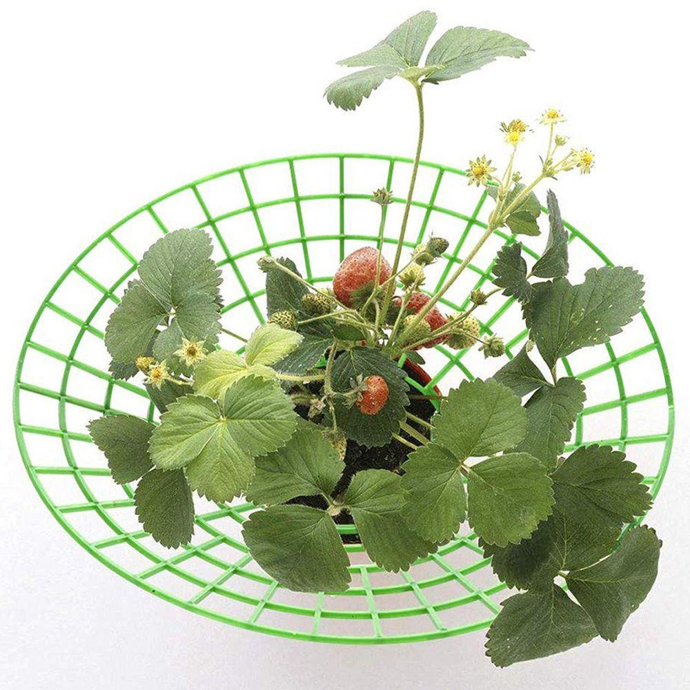 HARRIETT Giá Đỡ Chậu Hoa / Dâu Tây Ban Công Bằng Nhựa Tiện Lợi