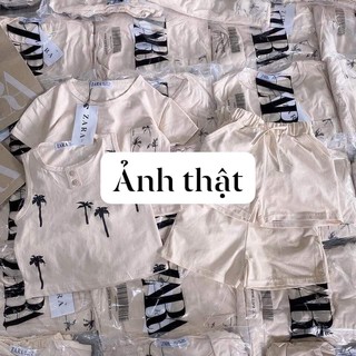 SÉT 2 BỘ CÂY DỪA VÀNG