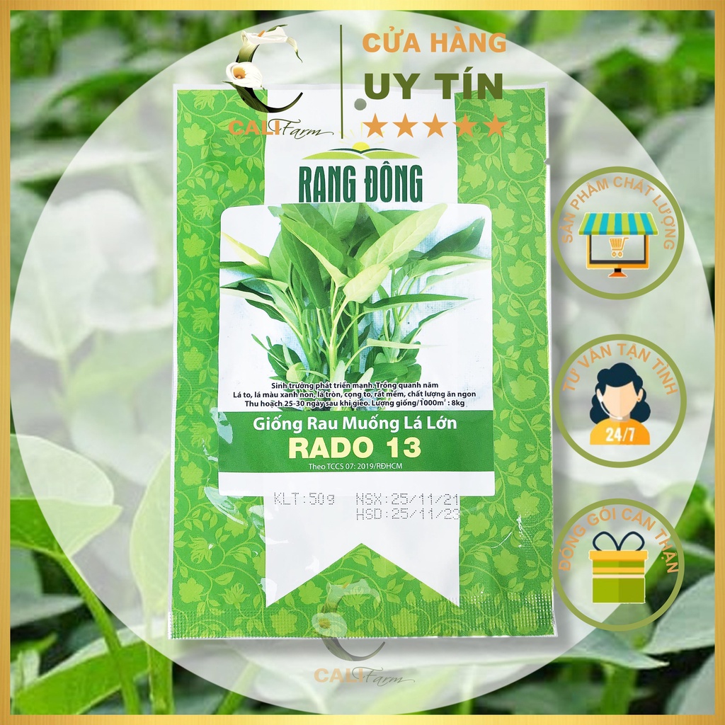 Hạt Giống Rau Muống Lá Lớn Rado 13 (50gr)