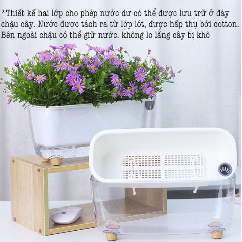 Chậu cây để bàn Oliz-Gerta 211. Chậu trồng cây thông minh tự dưỡng