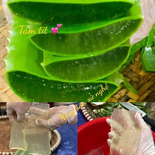 DẦU XẢ NHA ĐAM