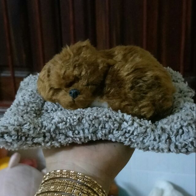 Ly gấu si ly gấu