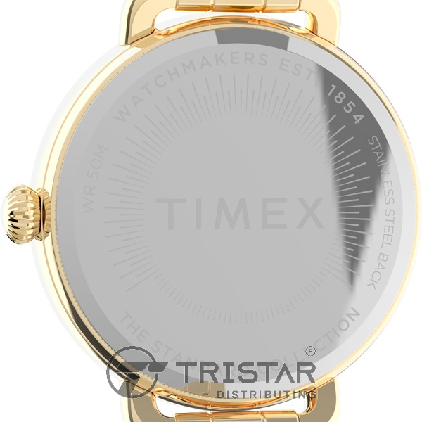 Đồng hồ Nữ Timex Standard Demi 30mm TW2U60600 Dây Kim Loại - Chính Hãng