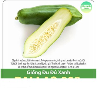 Hạt Giống Đu Đủ Xanh (10 Hạt)