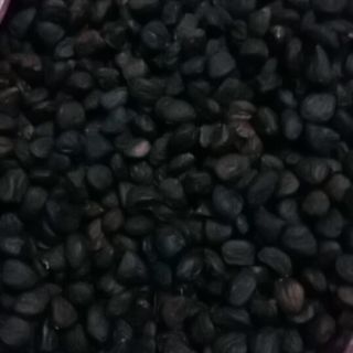 100g hạt dổi nếp loại 1.