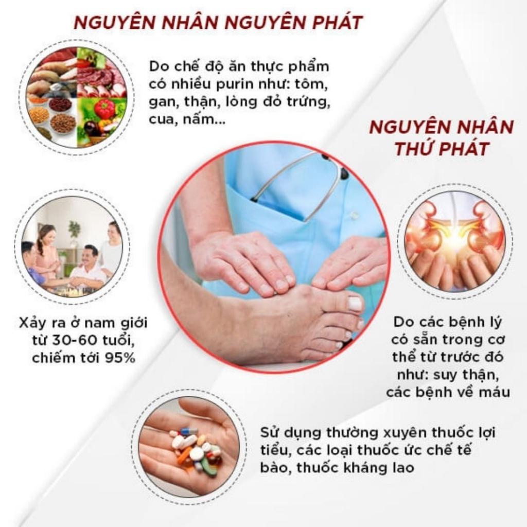 [FreeShip-Combo06 hộp] Trà thảo dược An Gút Hưng Thái Hưng Adtea, cho người bị Gút đau lưng mỏi gói tê buồn chân tay