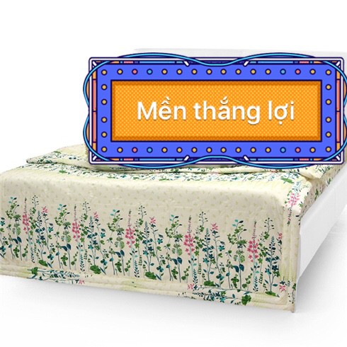 Mền COTTON THẮNG LỢI { chuẩn logo]