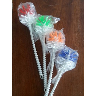 cây chà bồn cầu đầu tròn xoắn