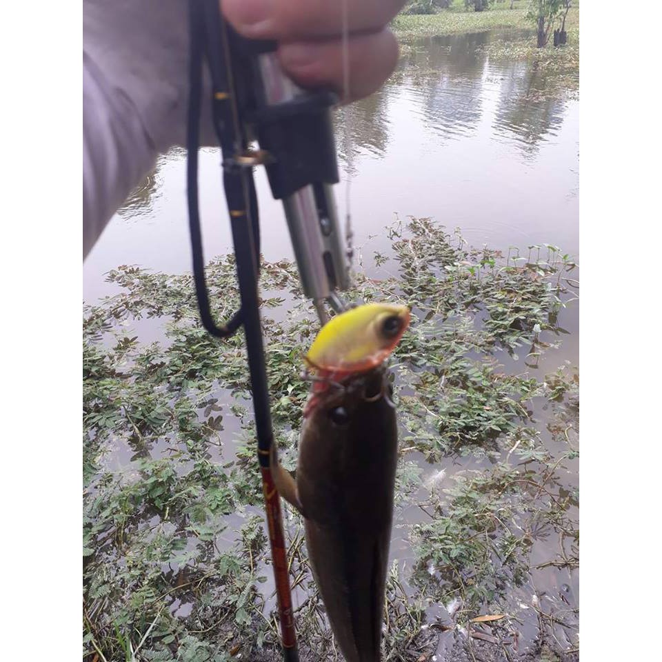 Mồi Lure huyền thoại Lurefans DK4 8gr HKN Fishing