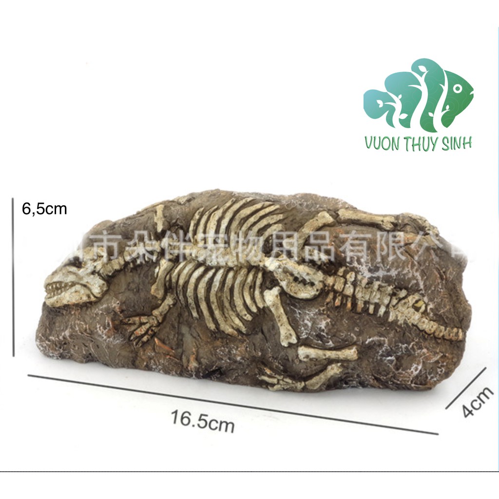 Mô hình bộ hoá thạch thời tiền sử trang trí bể cá, bể thuỷ sinh