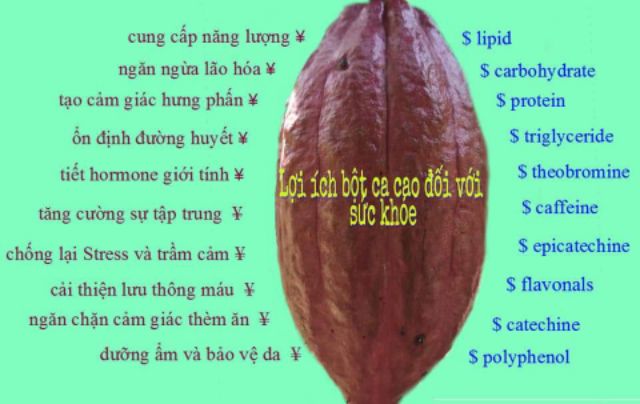 Cacao Daklak nguyên chất hộp 500g