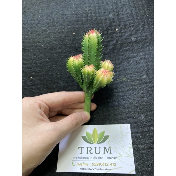 Xương Rồng Nhựa phụ kiện trang trí tiểu cảnh - Terrariun