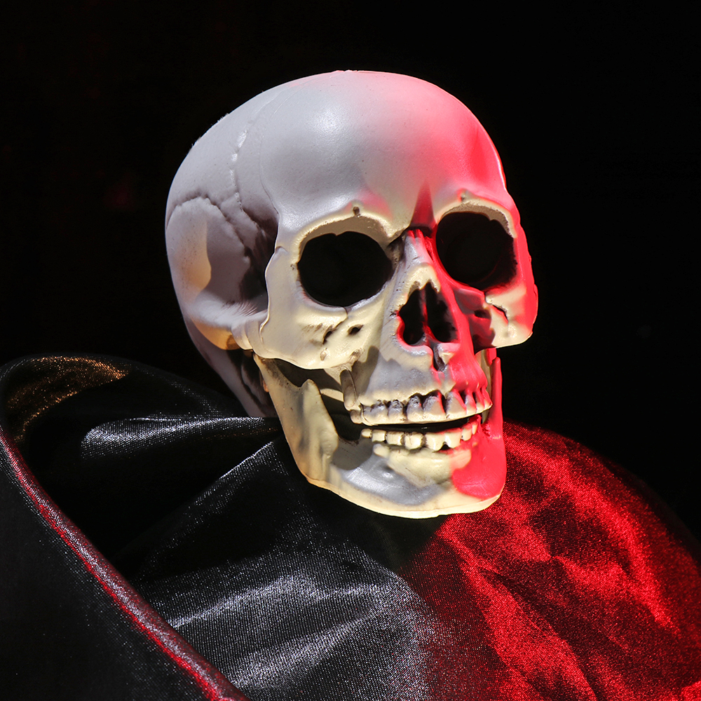 Đầu Lâu Trang Trí Halloween Nhiều Kích Cỡ Tuỳ Chọn