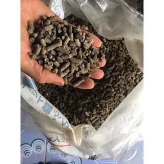 Phân bón cho cây hoa hồng và rau