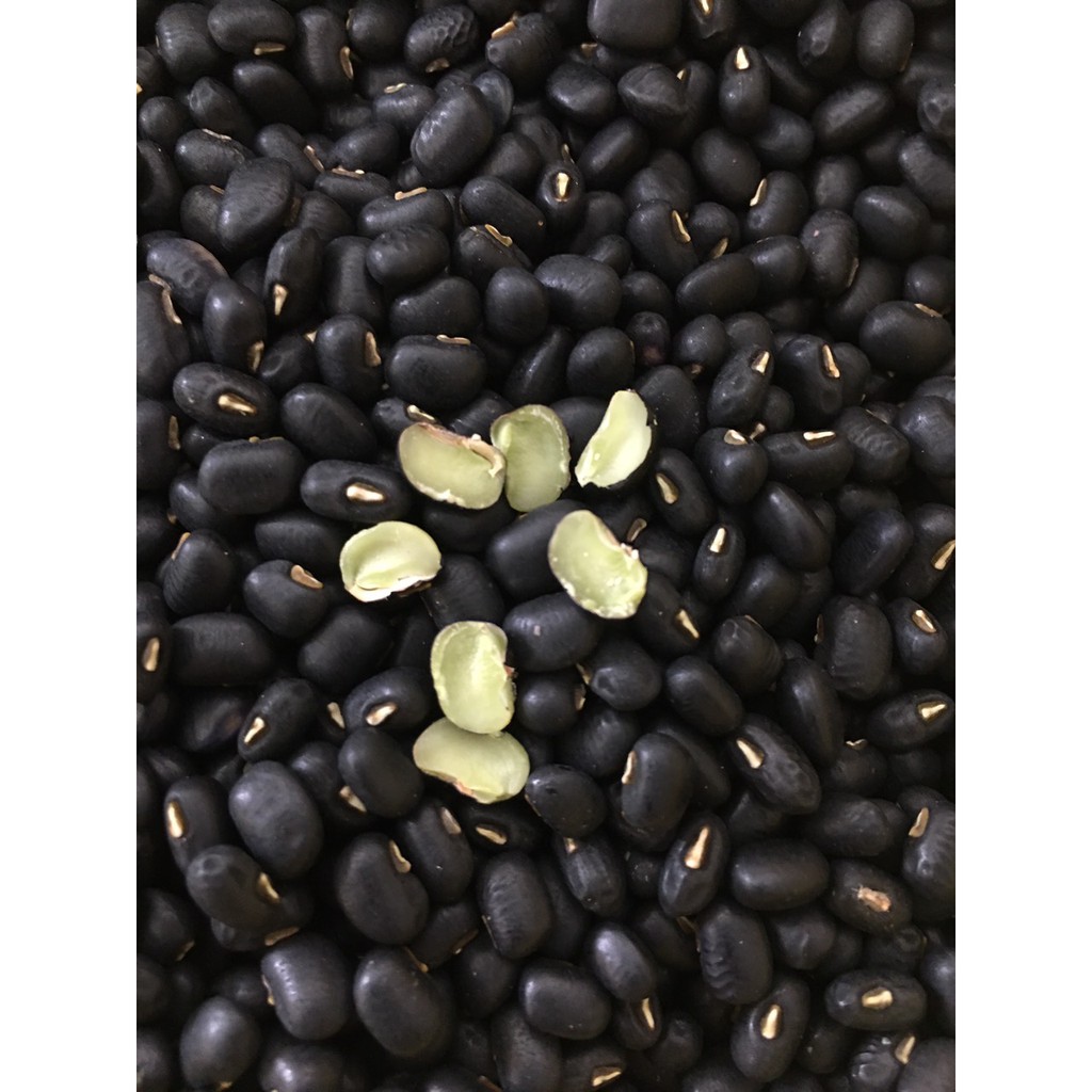 Đậu đen hữu cơ xanh lòng, hạt nhỏ (1kg/500gram)