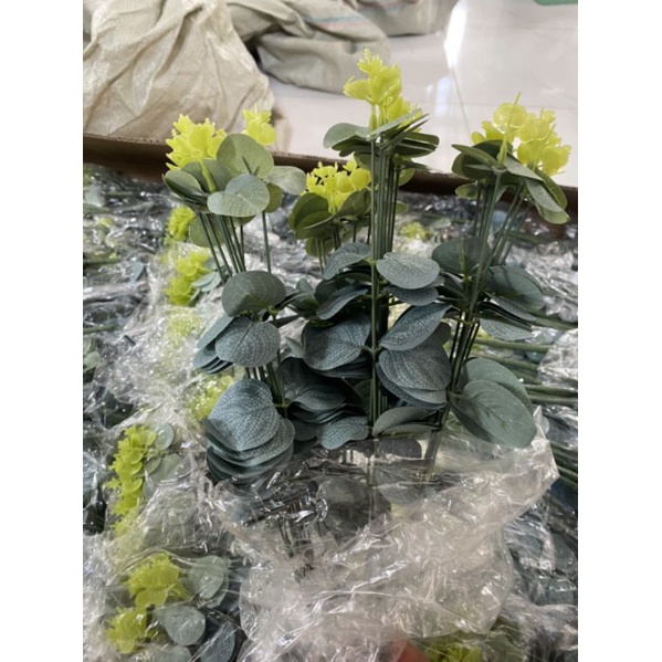 CỤM LÁ TÁO 16 NHÁNH HÀNG ĐẸP BÓNG LÁ