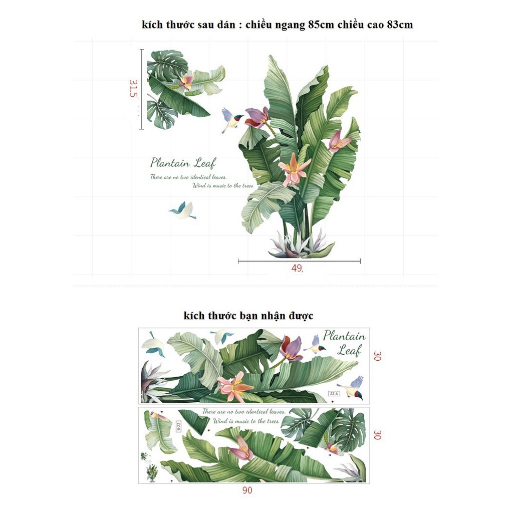 Decal dán tường cây chuối phong cách Bắc Âu