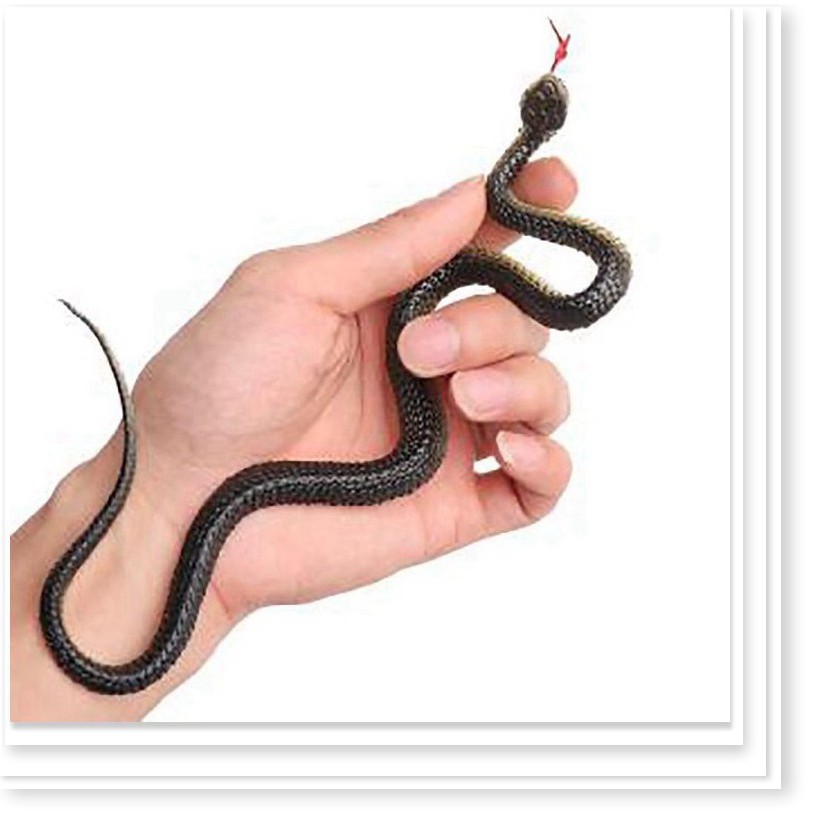Một con rắn bằng nhựa loại nhỏ trông như thật - TE0140