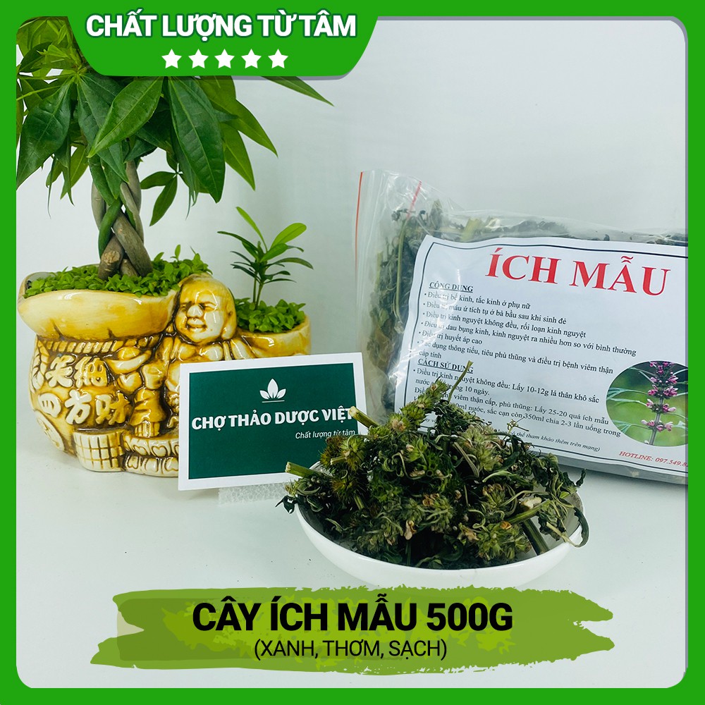 500g Ích Mẫu (Xanh, Thơm, Sạch)