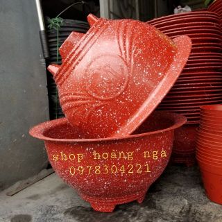 Sét 5 chậu trồng cây t48 giả đá đỏ