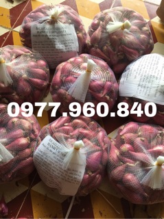 1KG HÀNH TÍM LÝ SƠN LOẠI 1