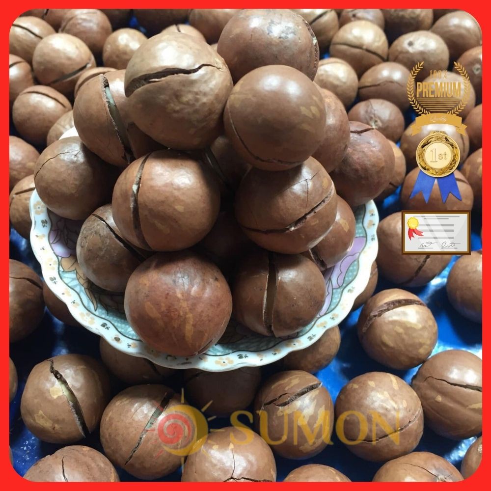 Hạt macca loại 1 SUMON hat macca 500gram MS11