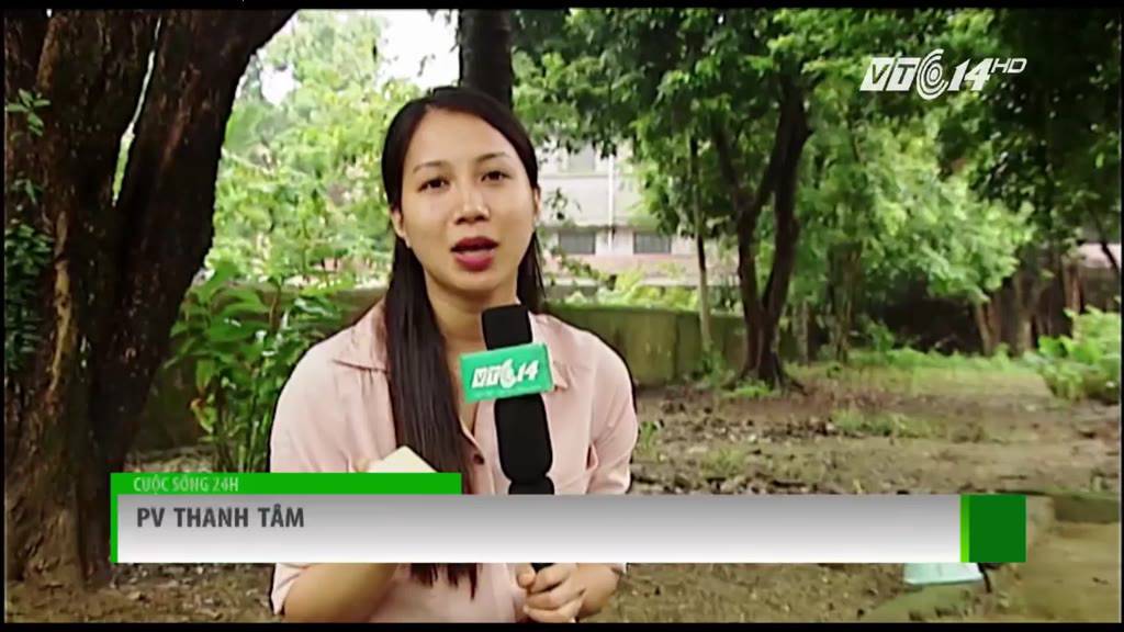 Xà Bông Sinh Dược giảm mụn lưng, giảm thâm, sáng da chiết xuất 100% thiên nhiên cục 100gr | BigBuy360 - bigbuy360.vn