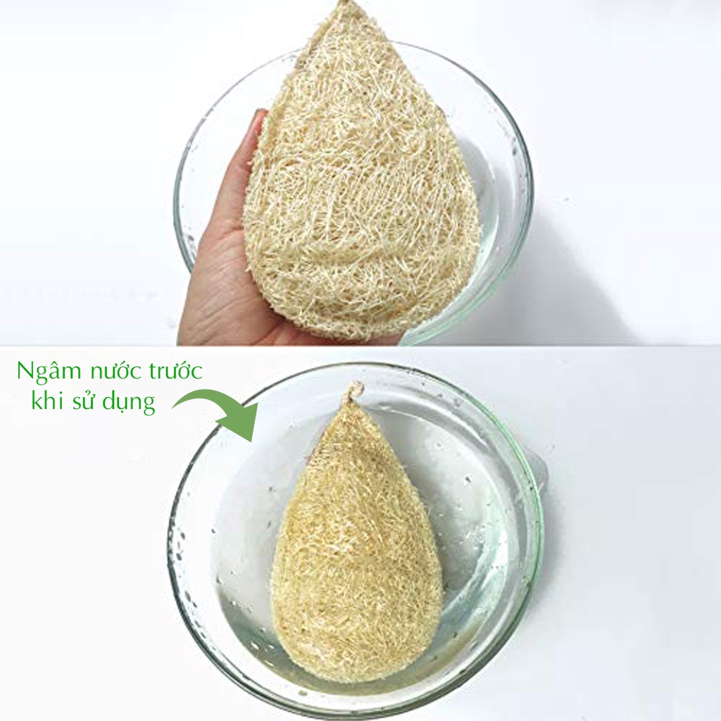 Miếng rửa chén bát xơ mướp tự nhiên,tạo bọt,mềm mại với da tay