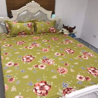 BỘ CHĂN GA COTTON ELISE 1M8-2M MS 009