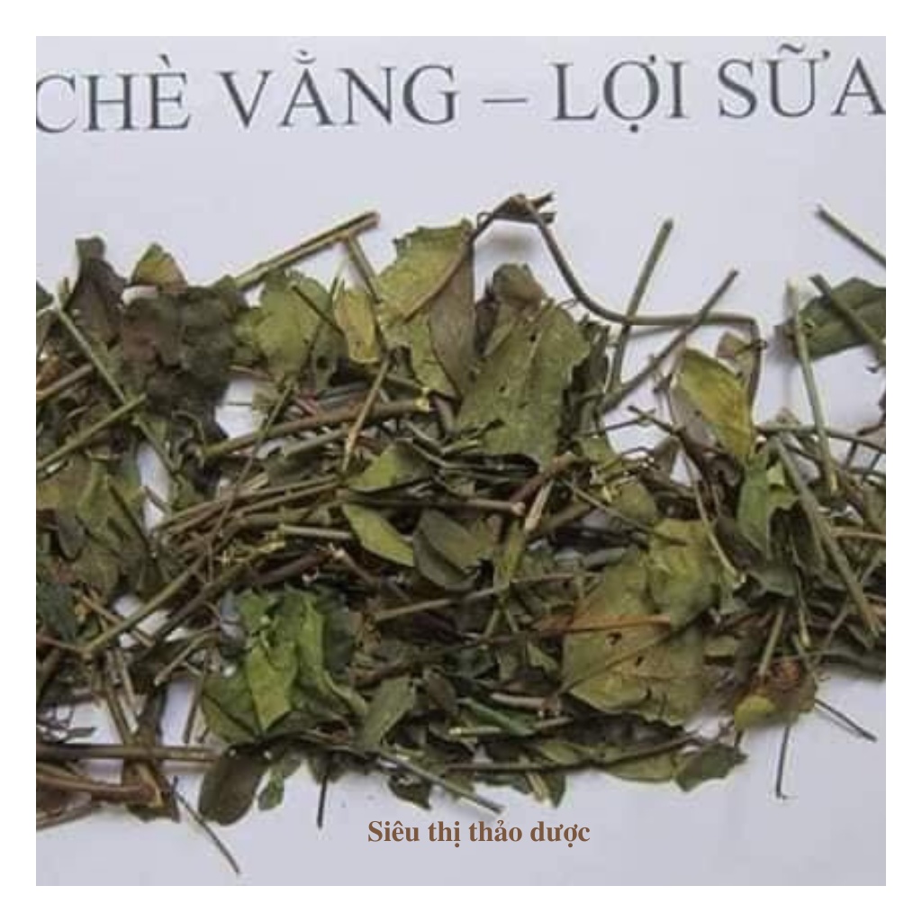 Chè Vằng Lá Sẻ Hàng Chất Lượng Mới, Sạch Giúp Lợi Sữa, Giảm Cân Túi  1Kg | BigBuy360 - bigbuy360.vn