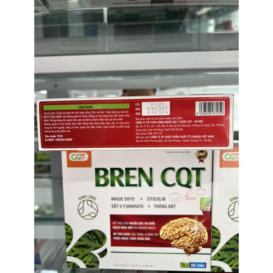 Bren Cqt Hỗ Trợ Cho Người Sau Tai Biến Mạch Máu Não Do Nghẽn Mạch, Giảm Các Triệu Chứng Do Tuần Hoàn Não