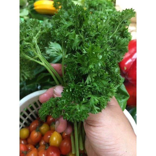 Lá mùi tây tươi  túi 100gr