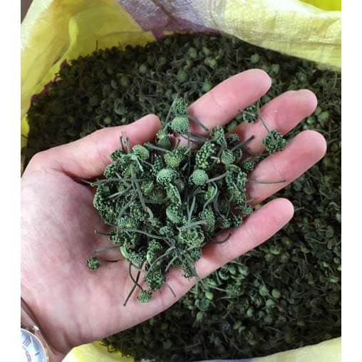 Nụ Hoa Tam Thất Khô, Hoa Tam Thất Sạch Sẽ, Thơm, Mới Thu Hoạch, Vệ Sinh An Toàn Thực Phẩm 500g | BigBuy360 - bigbuy360.vn