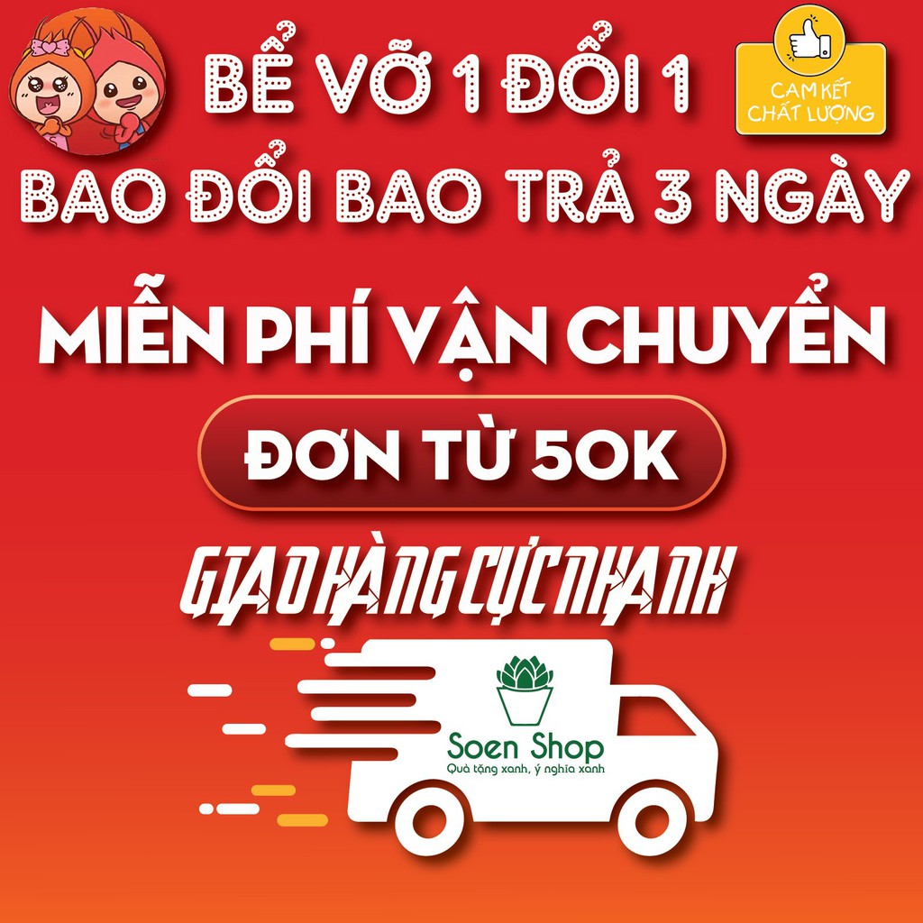 Chậu trồng sen đá xương rồng - chậu lục giác nhiều màu ( Nhập SOENSALE5 để được giảm 5k hóa đơn 50k)