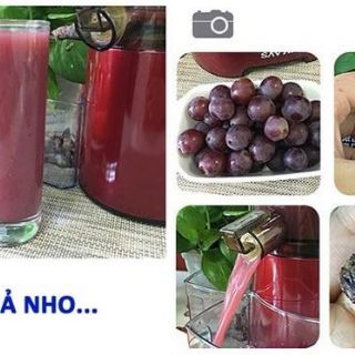 Máy ép chậm SATVM