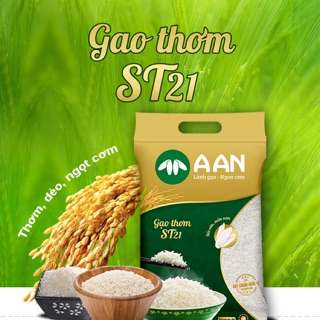 Gạo Giống Nhật Japonica
