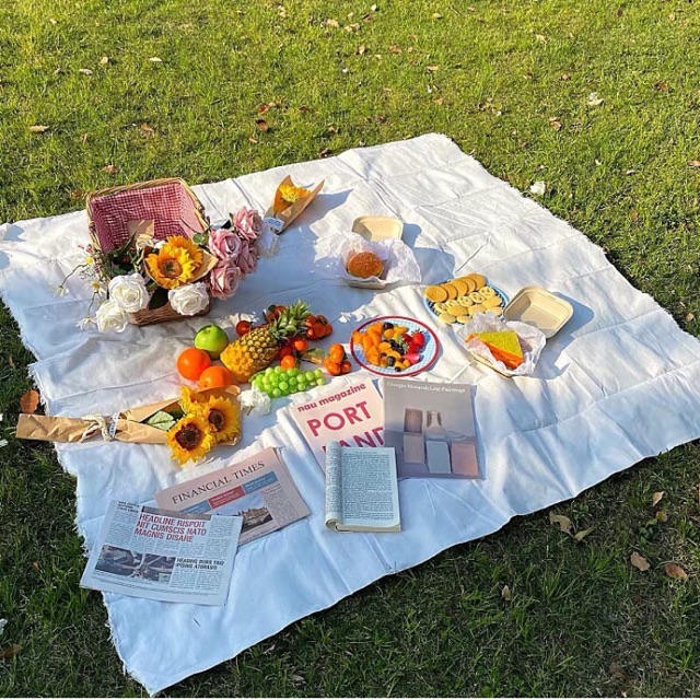 picnic