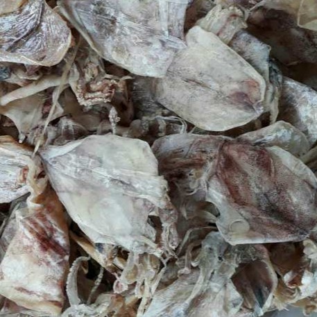 2k/con mực khô mini (giảm giá sốc) | BigBuy360 - bigbuy360.vn