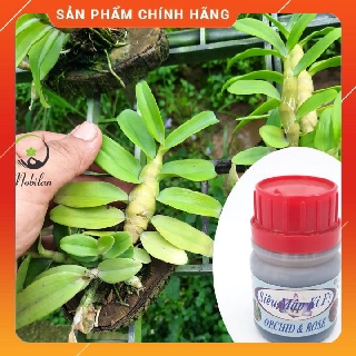 Sale: siêu mập ki f1 🌳