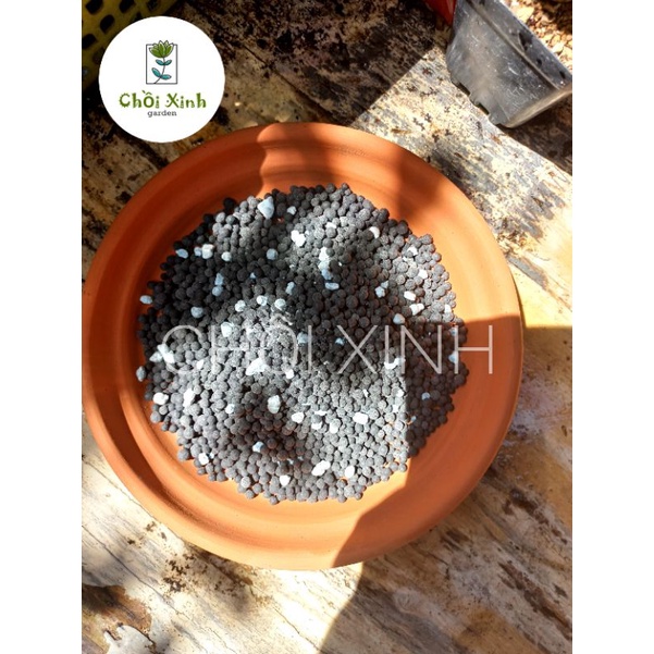 Phân Bón Tan Chậm Cho Sen Đá Xương Rồng mập bón