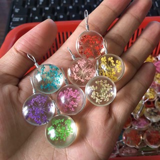 Hoa thật ép khô hình tròn 18mm