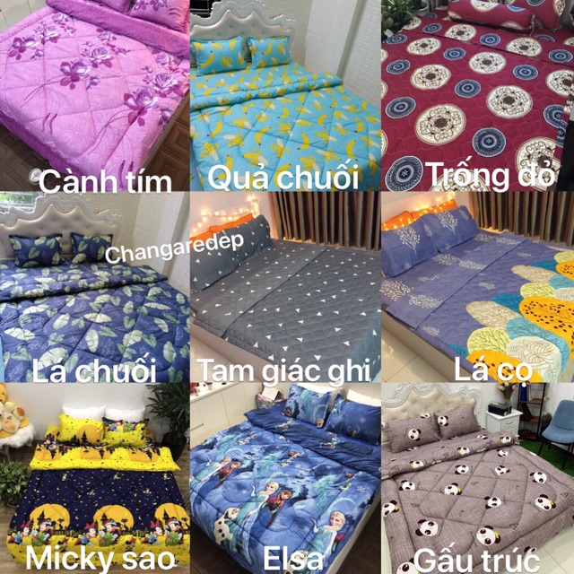 Bộ ga gối 4 món poly cotton m6/m8/2m2 ( chat chọn mẫu)