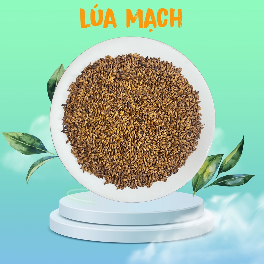 Trà lúa mạch nguyên hạt sấy tay thơm đều
