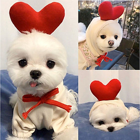 TL-Áo Quần Thú Cưng, Áo cho chó mèo siêu cute