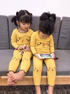 Bộ len tăm hình mèo